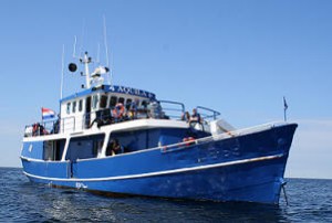 sideimage11